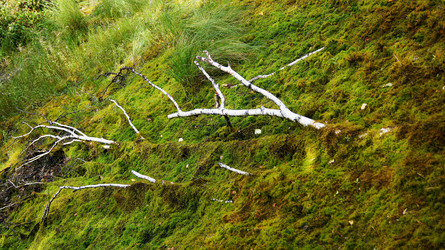 Similar image 6720677