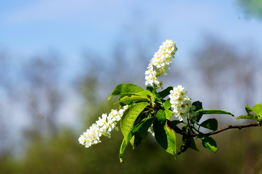 Similar image 6720681