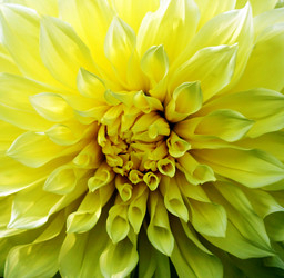 Similar image 6720684