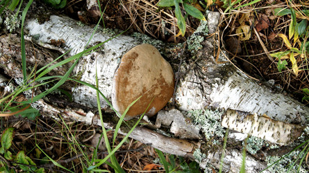 Similar image 6720798