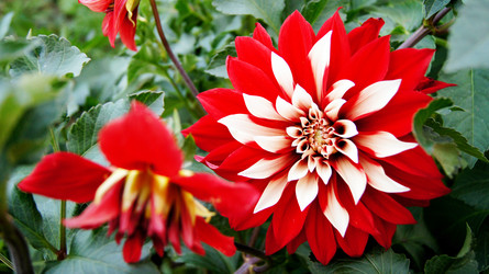 Similar image 6720801