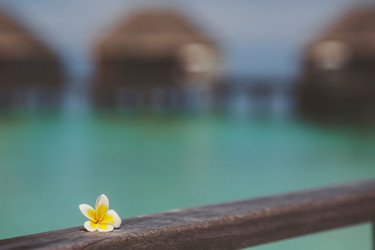 Similar image 6720839