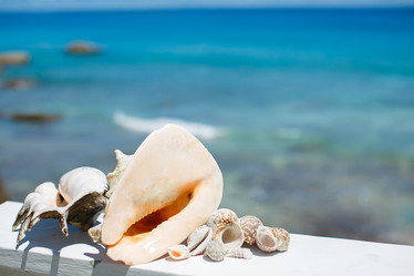 Similar image 6720895