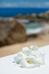 Similar image 6720911