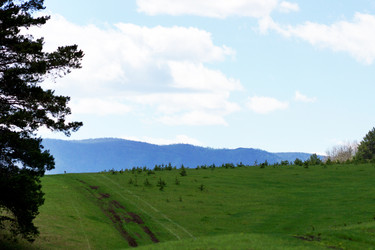 Similar image 6720995