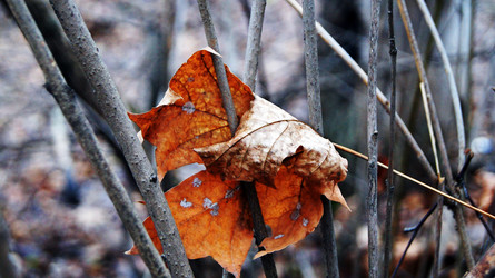 Similar image 6720999