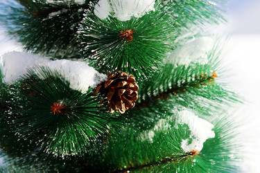 Similar image 6721000