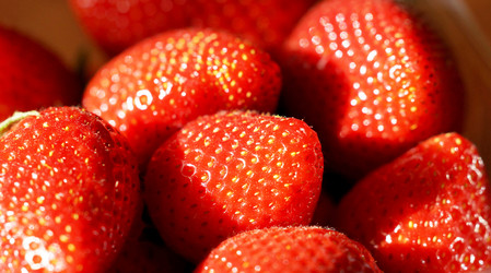 Similar image 6721019