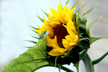 Similar image 6721020