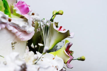 Similar image 6721116