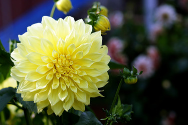 Similar image 6721119