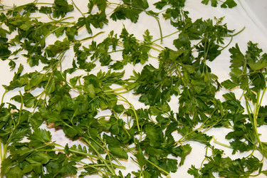 Similar image 6721152