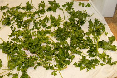 Similar image 6721155