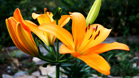 Similar image 6721176