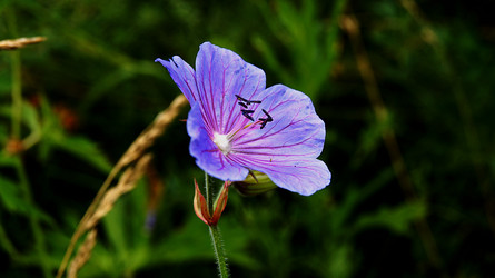 Similar image 6721179