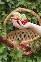 Similar image 6721410