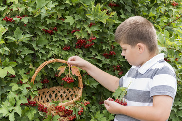 Similar image 6721416