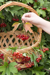 Similar image 6721417