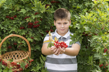 Similar image 6721418