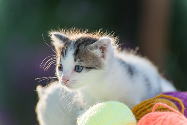 Similar image 6721442