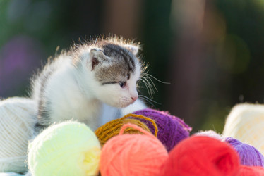 Similar image 6721443