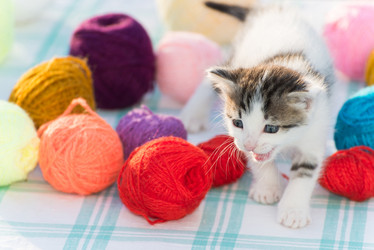 Similar image 6721449