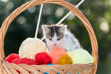 Similar image 6721453