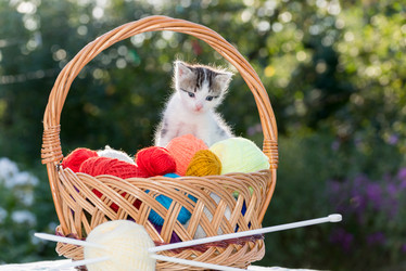 Similar image 6721454