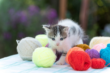 Similar image 6721456