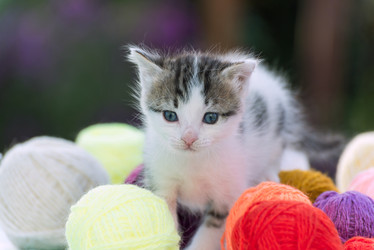 Similar image 6721457