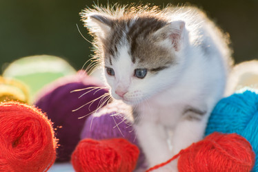 Similar image 6721459