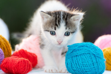 Similar image 6721493