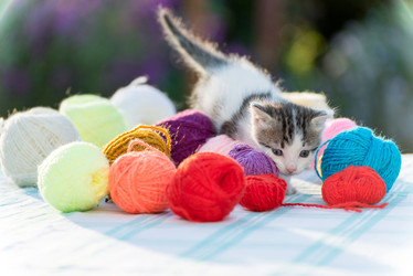 Similar image 6721494