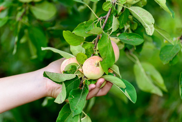 Similar image 6721522