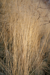 Similar image 6721558