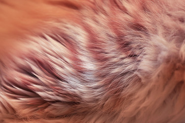 Similar image 6721595