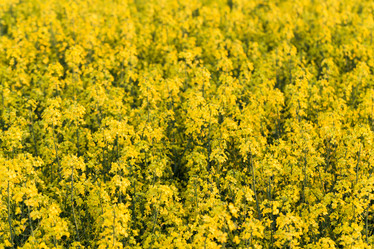 Similar image 6721701