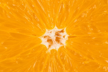 Similar image 6721709