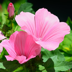 Similar image 6721763