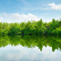 Similar image 6721764