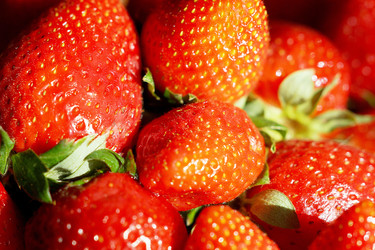 Similar image 6721788