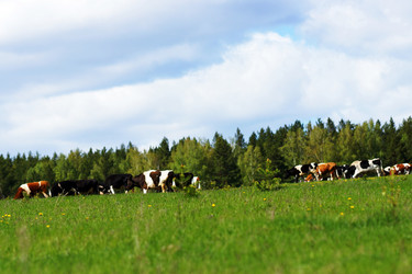 Similar image 6721798