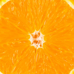 Similar image 6721890