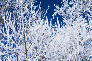 Similar image 6721895