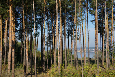 Similar image 6721945