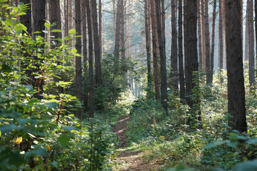 Similar image 6721946