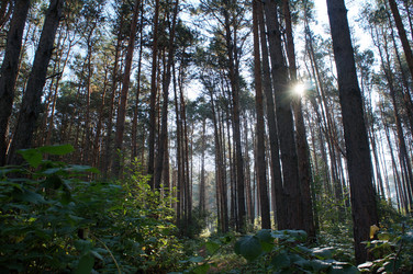 Similar image 6721947