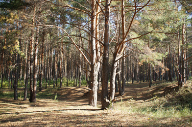 Similar image 6721948