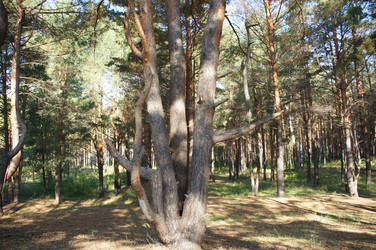 Similar image 6721949