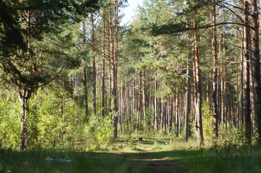 Similar image 6721950